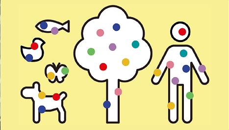 what is amino science